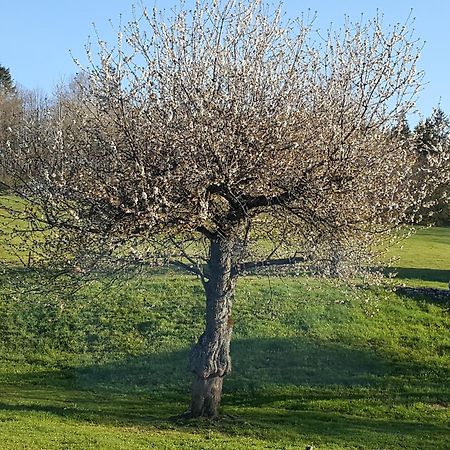Gite Bard Des Ours Saint-Martin-en-Vercors Exterior foto